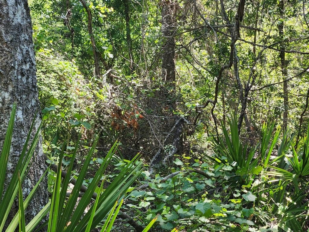 Picture 3