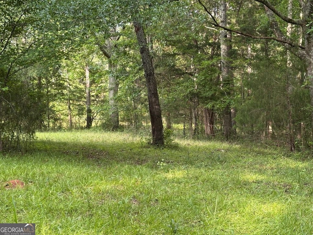 Picture 12