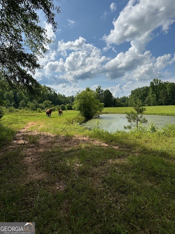 Picture 14