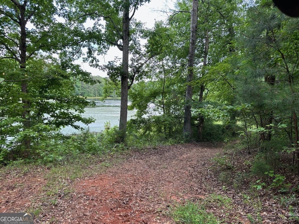 Picture 25