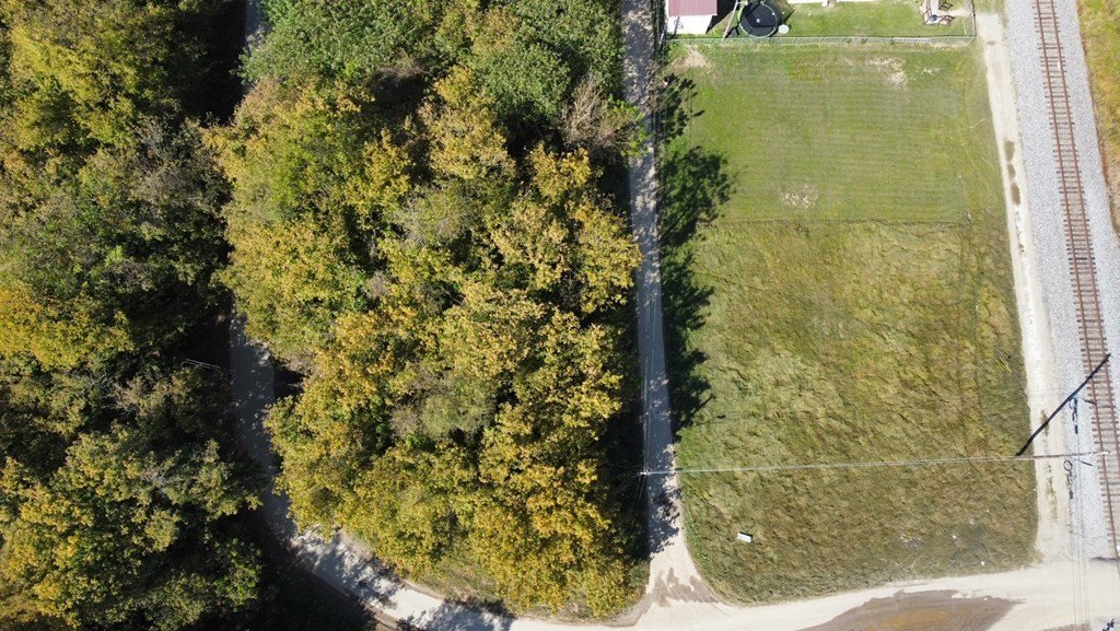 Picture 3