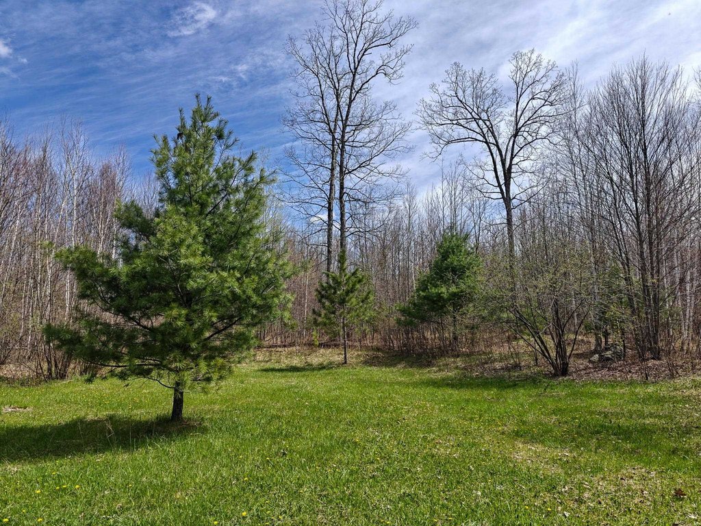 Picture 14