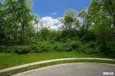 Residential Land in Springfield, IL