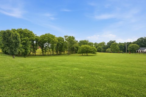 LAND - Ringgold, GA