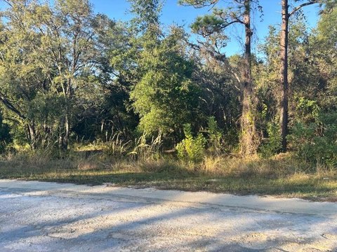 Land in Webster, Florida