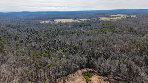 42 Acres of Wooded Land