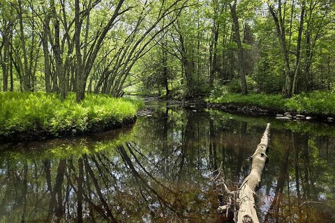 Waterfront Recreational Land Parcel