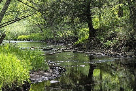 Somo River Waterfront Land