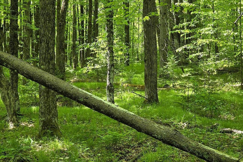 Picture 6