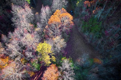 Land Near Downtown Bryson City