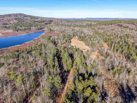 Wooded Recreational Land Parcel