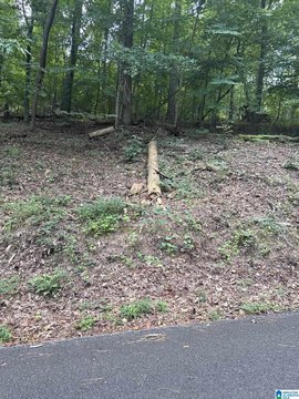 LAND/LOTS, TUSCALOOSA, AL