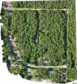 Agricultural Land Tract with Paved Road Access