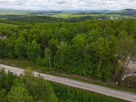 Residential Wooded Lot