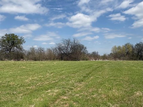 Ag-Exempt Land Near Sulphur Springs