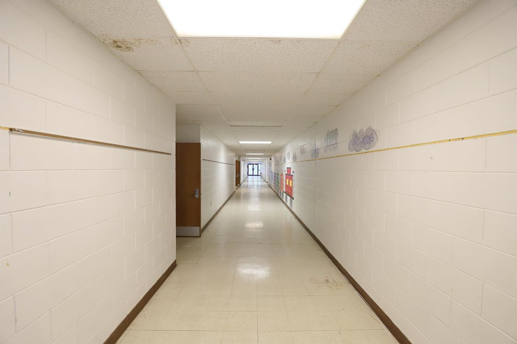 Picture 41
