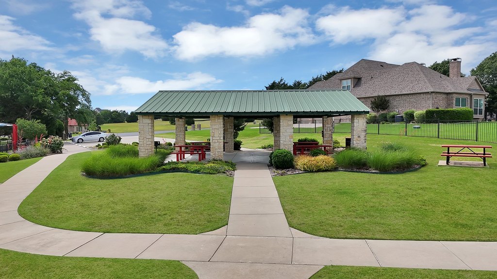 Picture 21