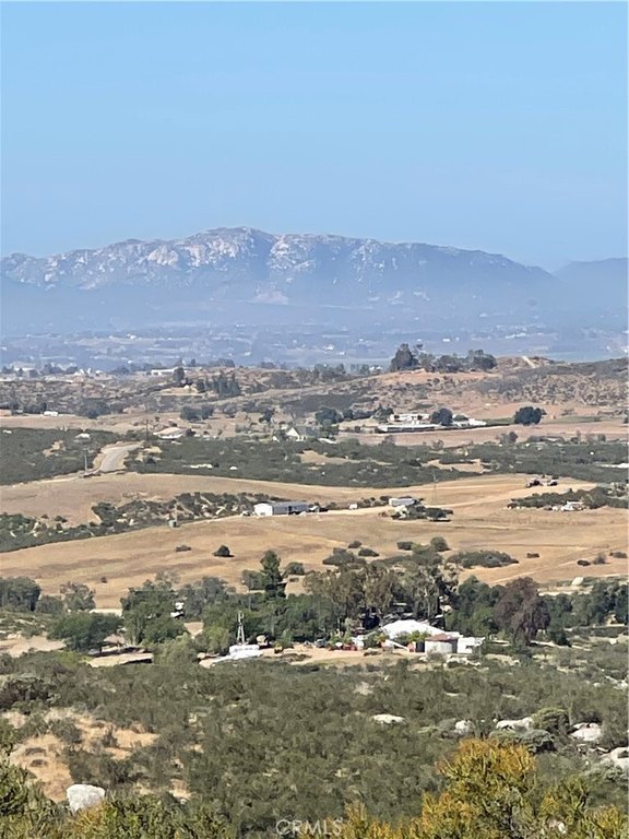 Picture 17