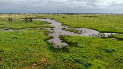 Cattle Ranch Land with Ponds