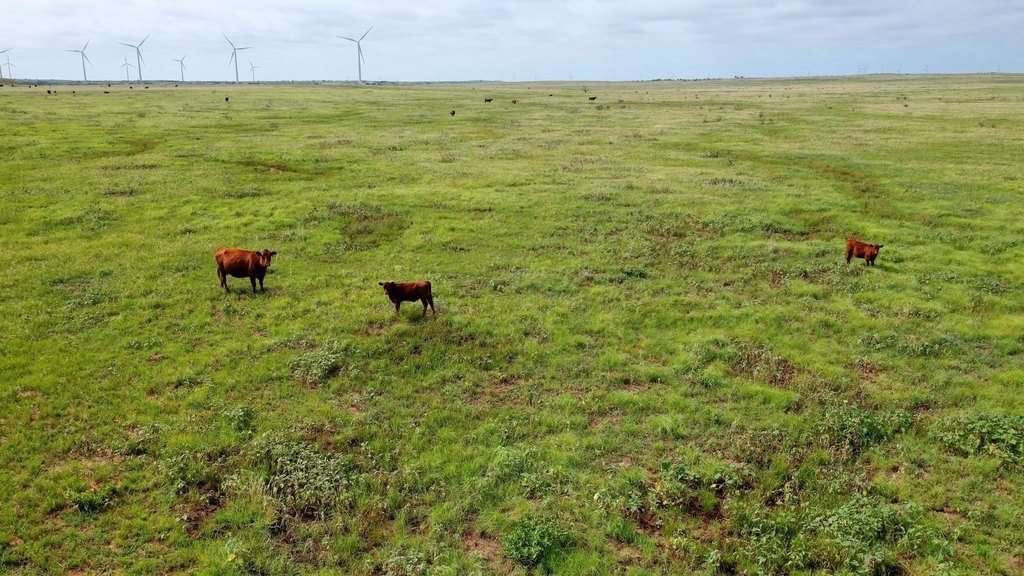 Picture 6