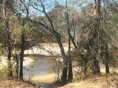 Ohoppee Riverfront Recreation Land