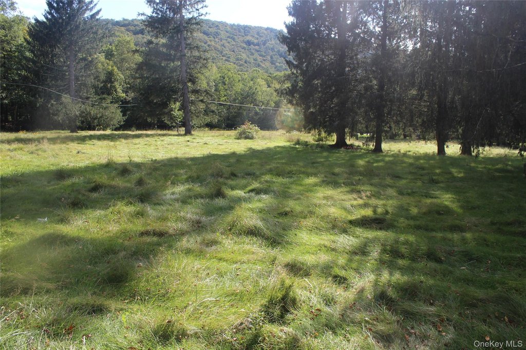 Picture 3