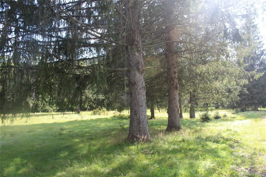 Picture 2