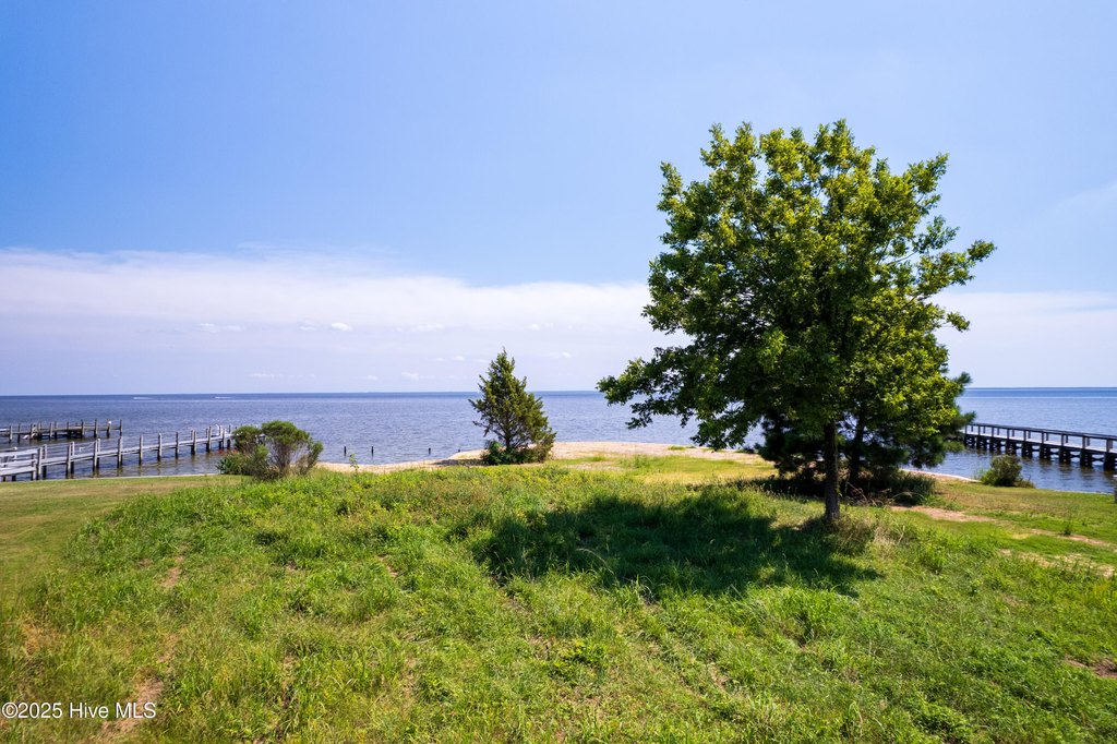 Picture 8