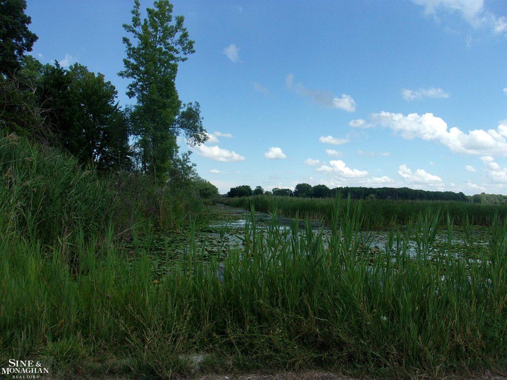 Picture 4