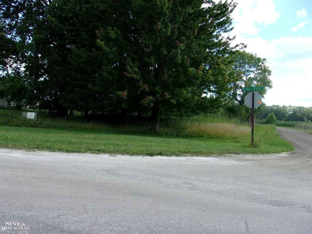 Picture 3