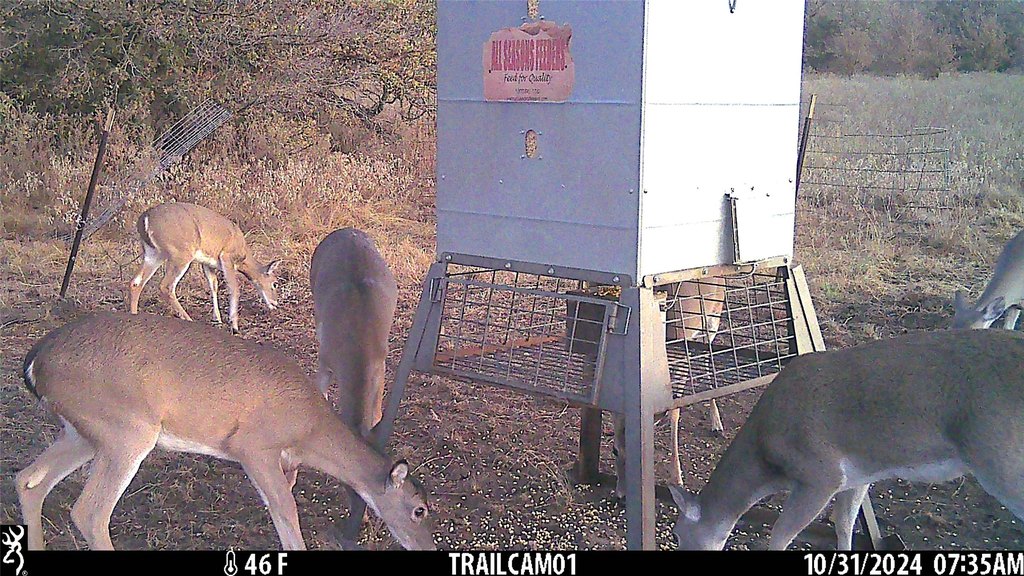 Picture 20