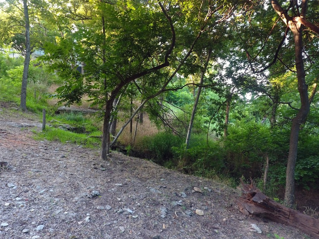 Picture 39