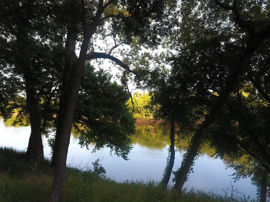 Picture 34