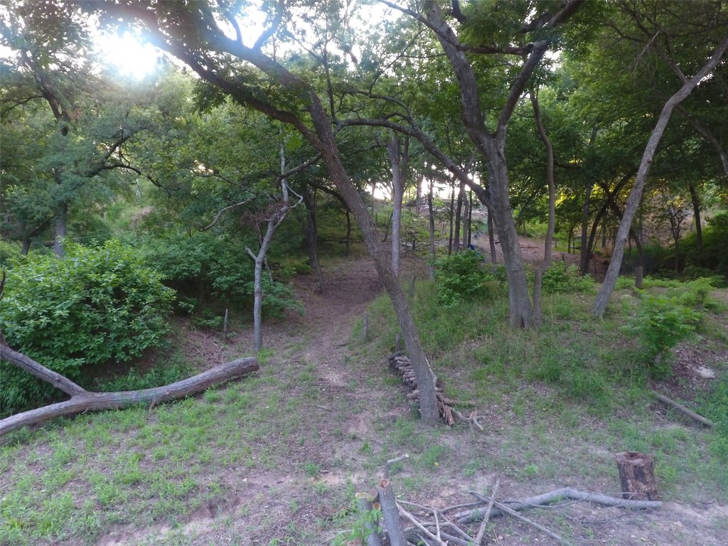 Picture 25