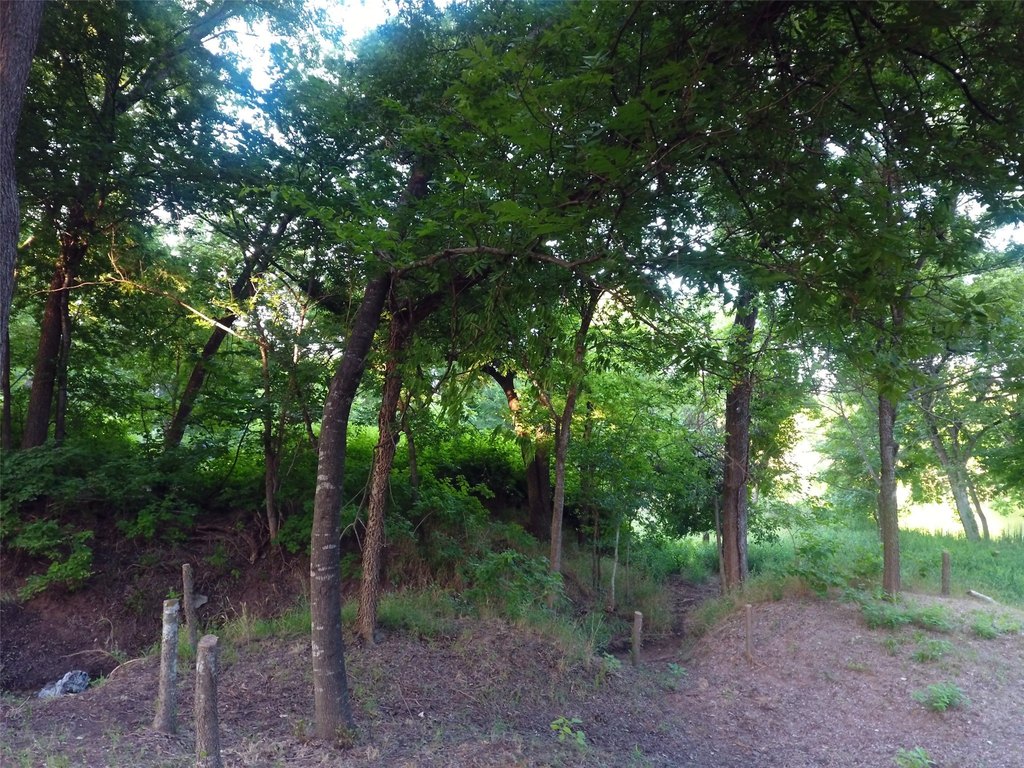 Picture 38