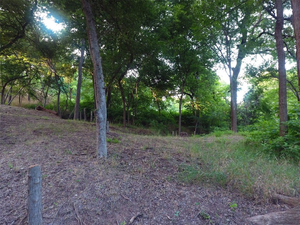 Picture 37