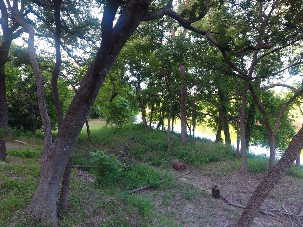 Picture 36