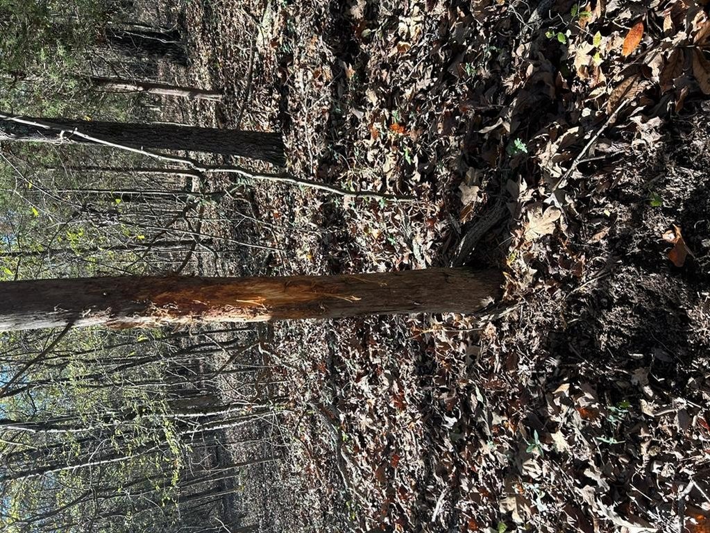 Picture 14
