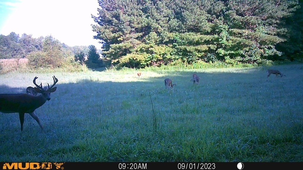 Picture 11