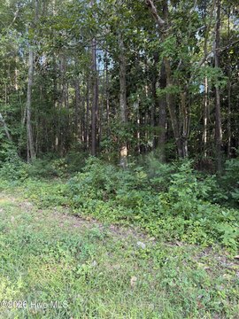 Land, New Bern, NC
