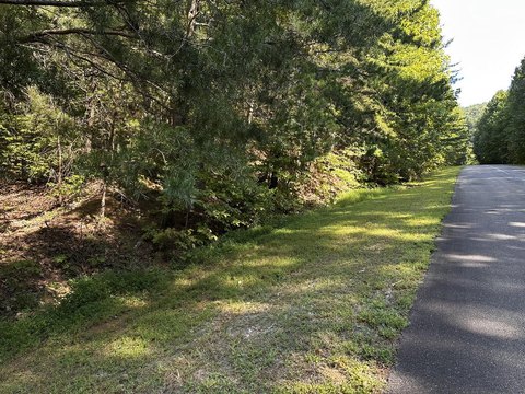 Vacant Lot, Ellijay, GA