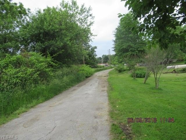 Picture 5