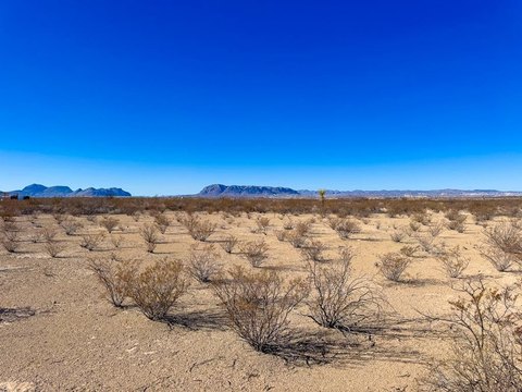 Terlingua Land For Sale