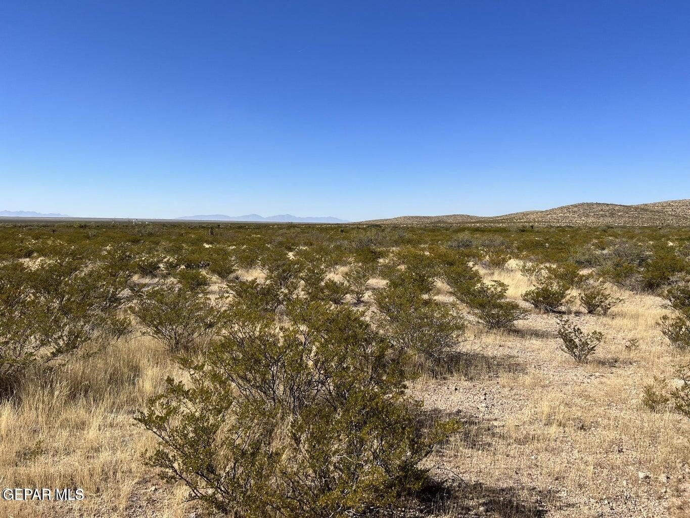 20 Acres of Texas Land