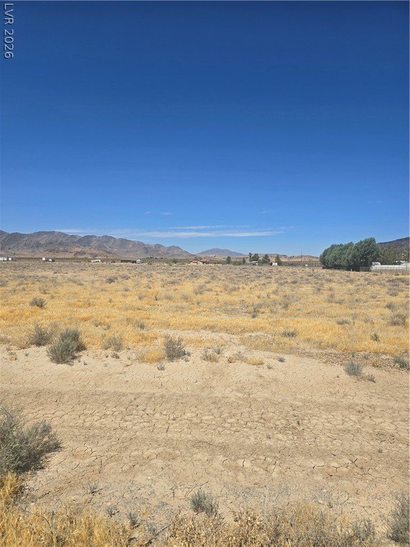 Picture 6