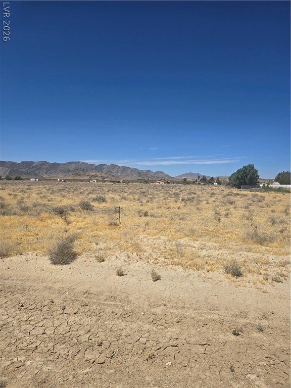Picture 3