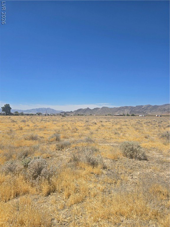 Picture 8