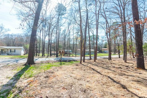 Lake Area Residential Lot