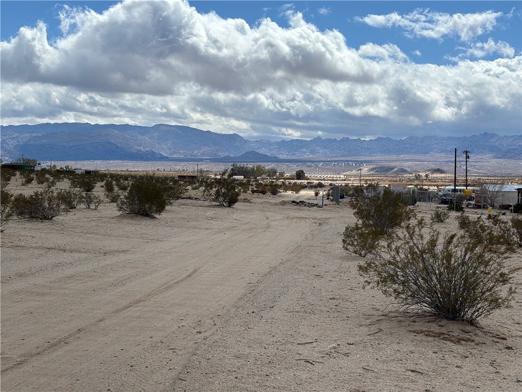 Picture 6