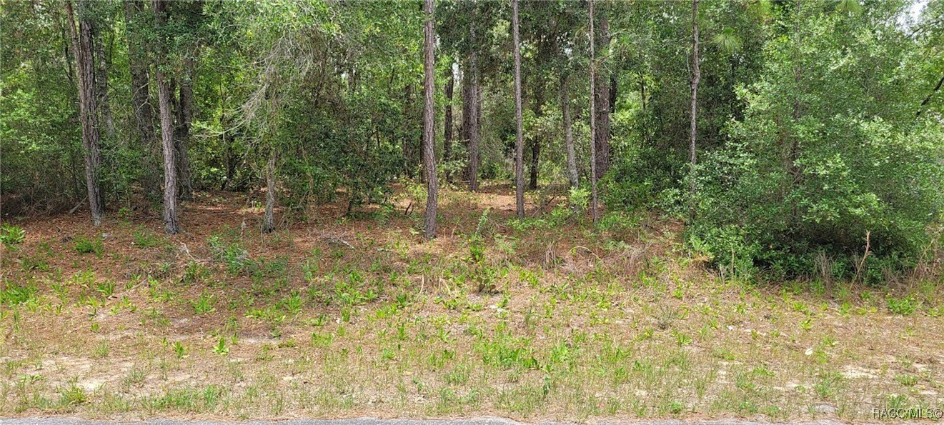 Wooded Lot in Citrus Springs